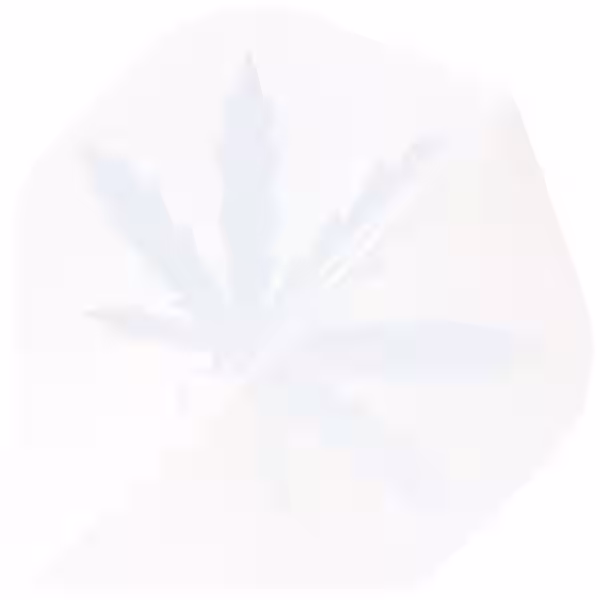 Designa Dartflight Cannabis