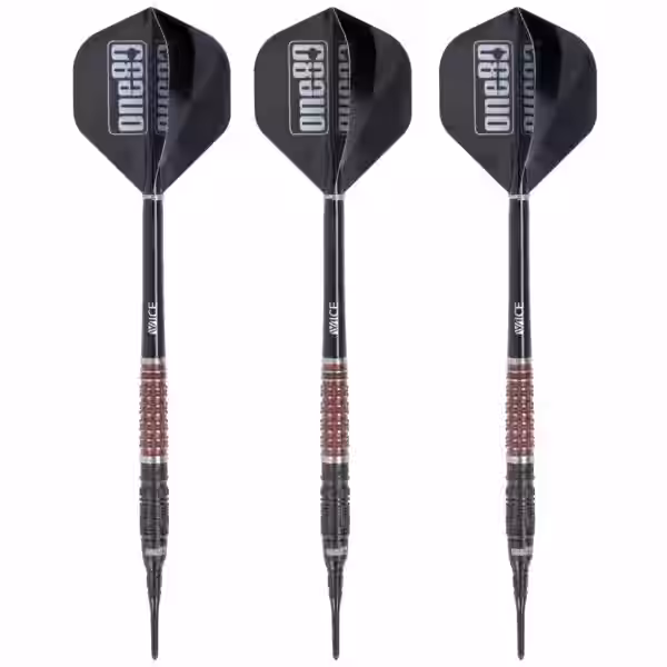 Desmond Chin 2 Softdart