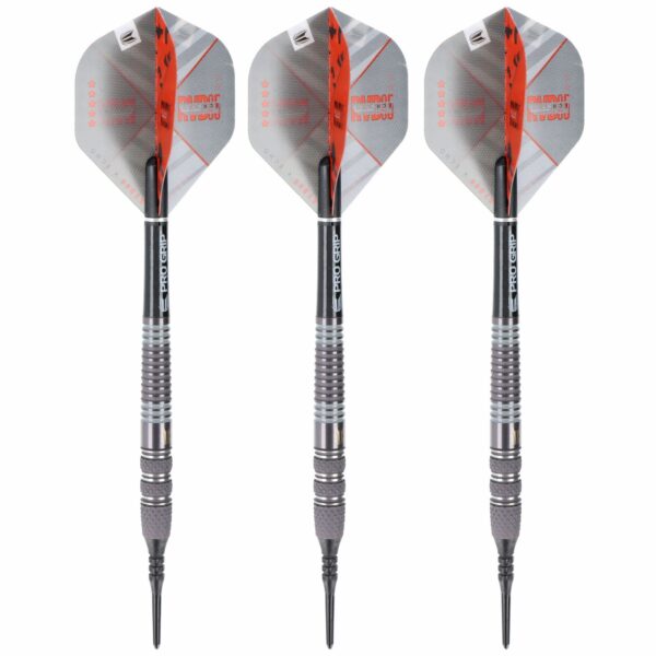 Raymond van Barneveld 95% x Echo - Softdart