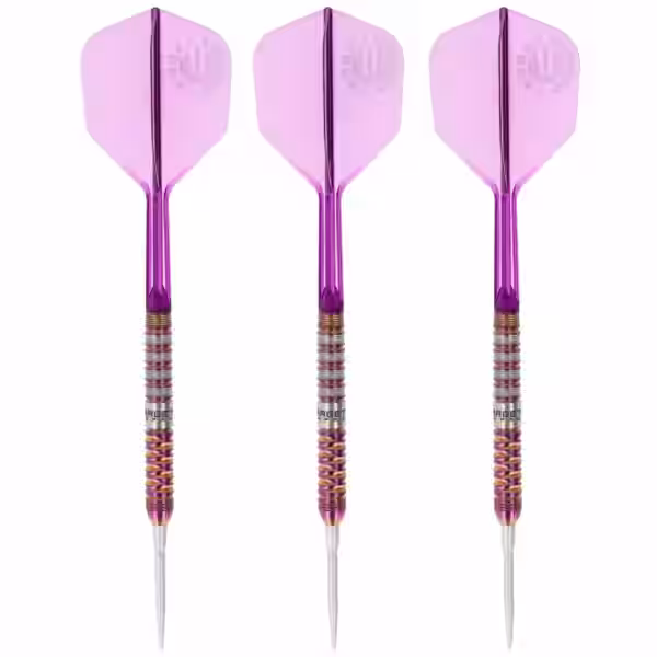 Target Japan Endeavour G2 Steeldart