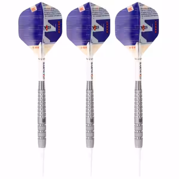 Target Raymond van Barneveld Softdart