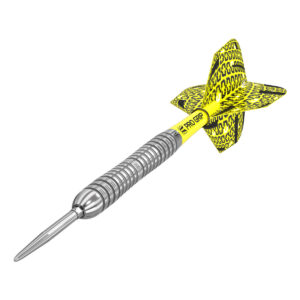 Target BOLIDE Darts 04 Steeldarts 21g